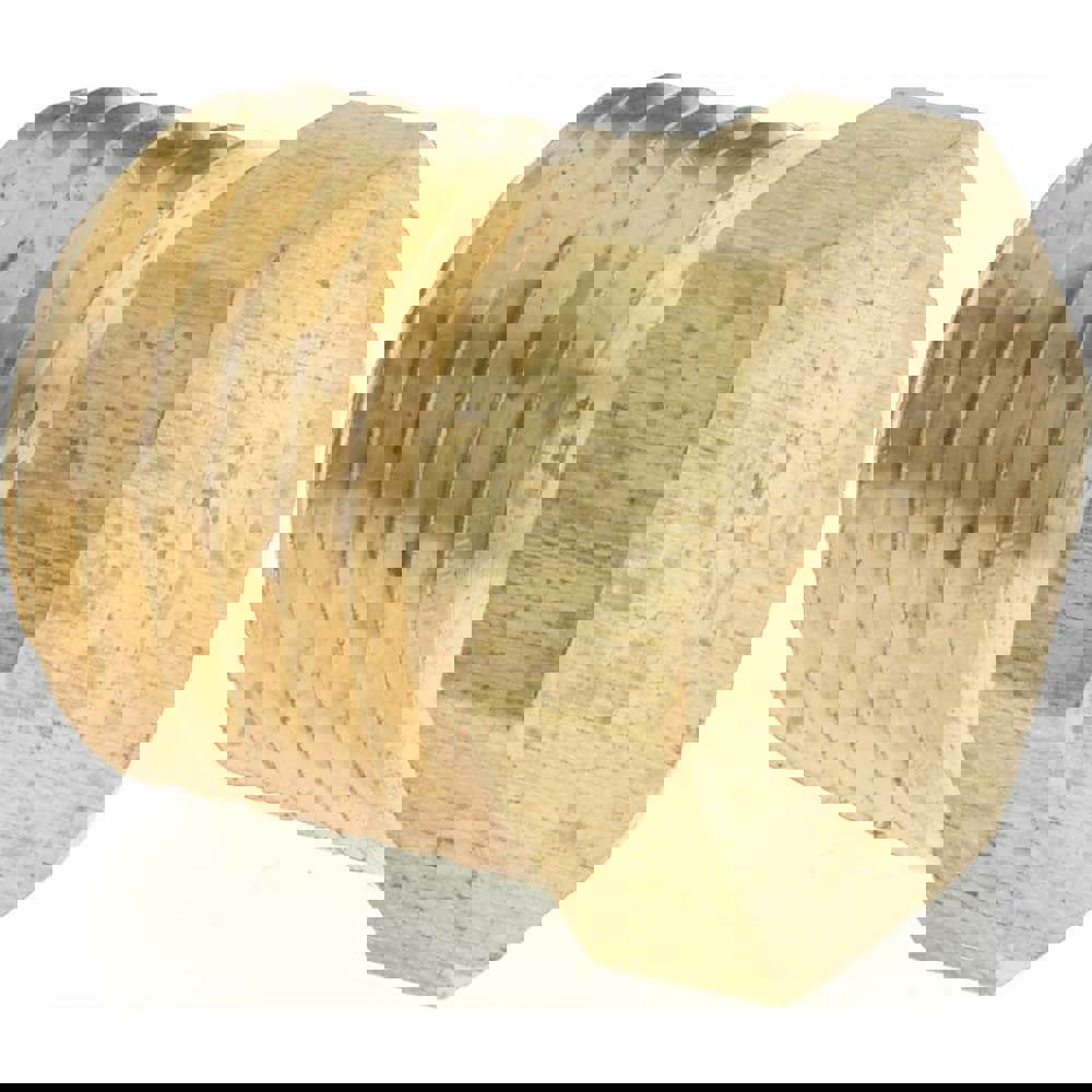 Industrial Pipe Hex Plug: 1/4